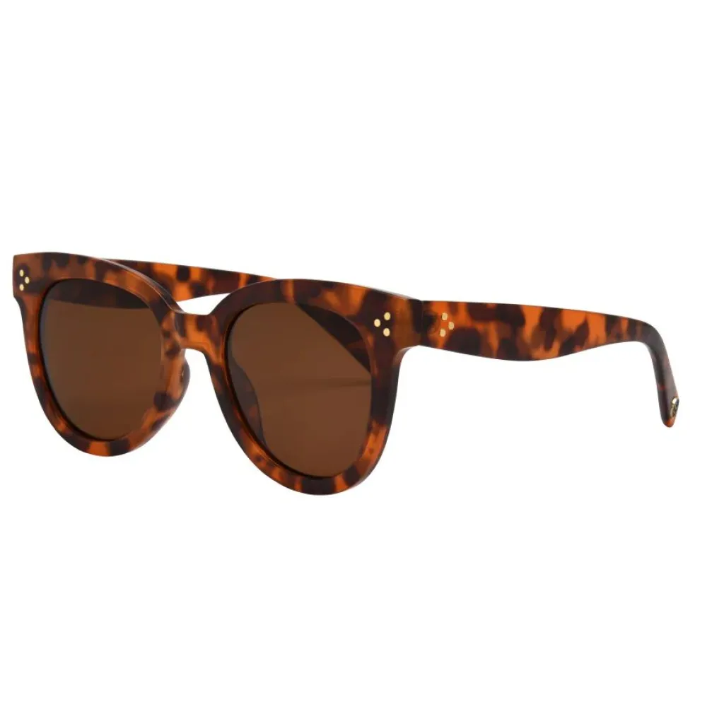 cleo_sunglasses_1.webp Fashion Cleo Sunglasses Sunglasses